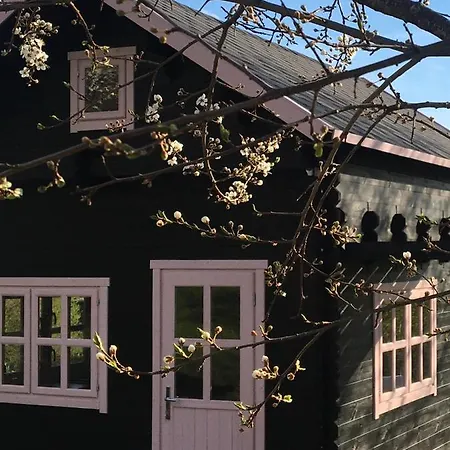 Villa 83 Bredynki Biskupiec  Exterior foto